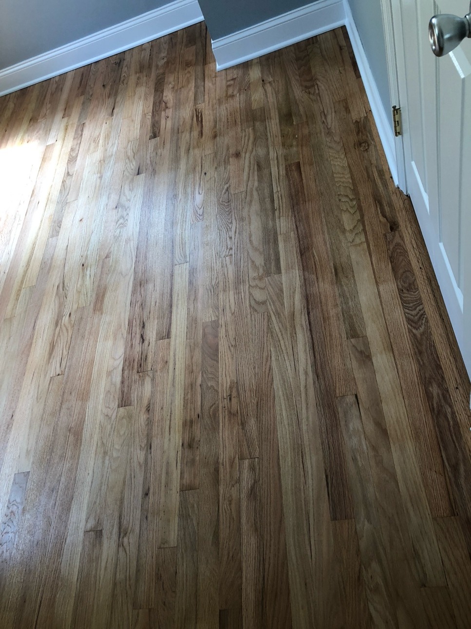 Refinished hardwood floor with a clear-coat sheen, seen from a doorway